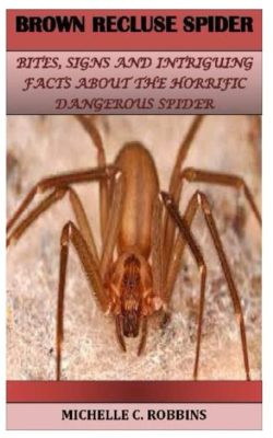  Bouncing Back From Disaster: A Glimpse into the Extraordinary World of the Brown Recluse Spider!